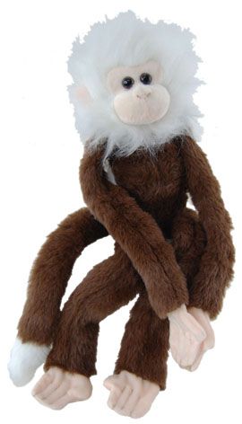 SPIDER MONKEY LONGLEGS :BRN & CREAM-24/8