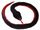 ECO RED BELLIED BLACK SNAKE NOISY