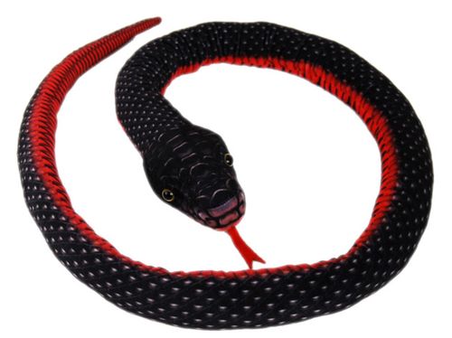 ECO RED BELLIED BLACK SNAKE NOISY