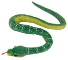 ECO GREEN TREE SNAKE NOISY(100% RCD)