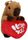 STANDING CAPYBARA W/HEART 16CM