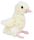 DUCKLING SITTING 19CM