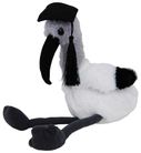 IBIS GRADUATION