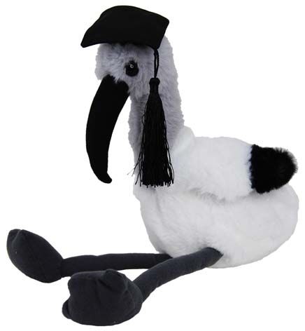 IBIS GRADUATION
