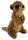 MEERKAT 22CM