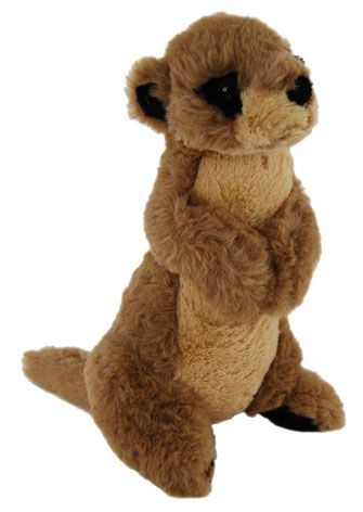 MEERKAT 22CM