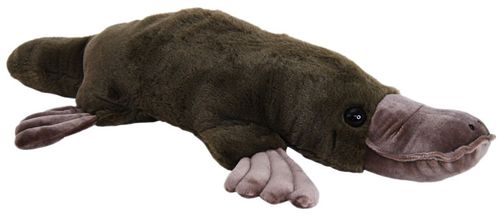 PLATYPUS GIANT 70CM