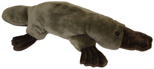 PLATYPUS GIANT 50CM