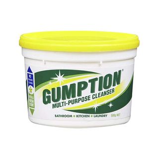 GUMPTION 500gm CLEANER [NP00750PK]12