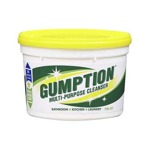 GUMPTION 500gm CLEANER [NP00750PK]12