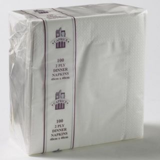 NAPKIN DINNER 2PLY WHITE [2DW] 100/10