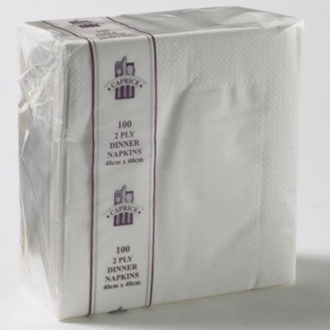 NAPKIN DINNER 2PLY WHITE [2DW] 100/10