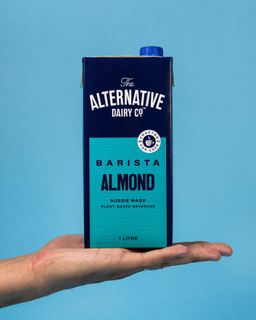 ALTERNATIVE DAIRY CO ALMOND MILK (12)