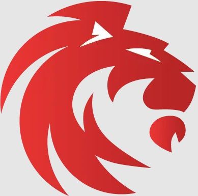 BATTERY LION 435TAGM DIN44 AGM50L1 560CC