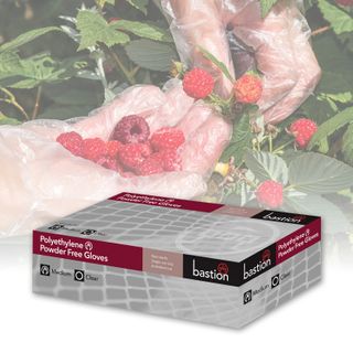 GLOVE POLY FOOD*MED*CLR[BNG8883]500/10