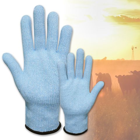 GLOVE CUT 5 LINER GLV (XL) BSG61125D