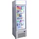 FREEZER - UPRIGHT