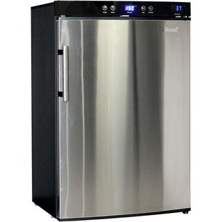MINI FREEZER 100L [DW100CD]