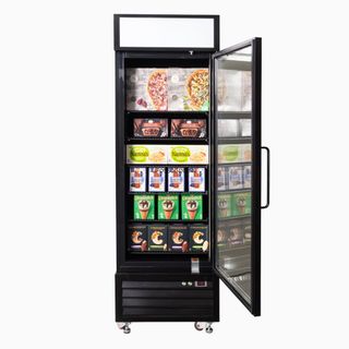 UF0550GDL-NR 1 DOOR FREEZER 3736263-NR