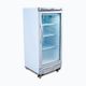 DISPLAY FRIDGES - UPRIGHT