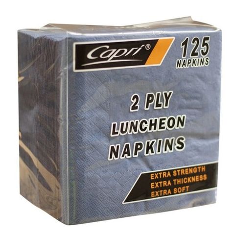 NAPKIN 2PLY LUNCH BLUE [C-NL0123]125/16