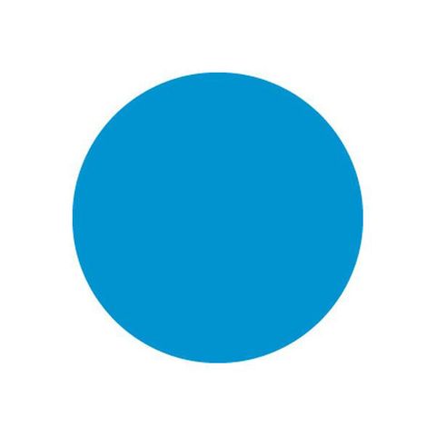 BLUE REMOVABLE CIRCLE 24mm [12010] 1000
