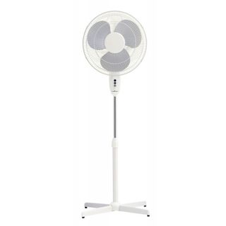 Pedestal Fan