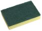 Sponge Scourers - 100x150mm (10)