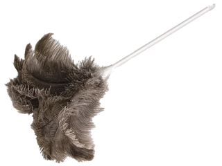 Feather Duster