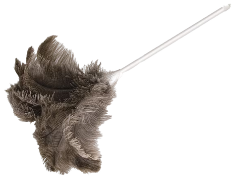 Feather Duster