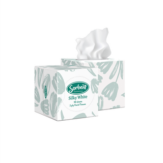 Sorbent Cube Tissues 2 Ply 90 sheet (24)