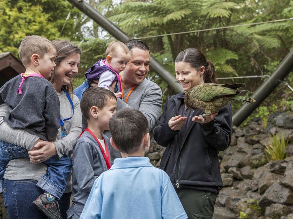 Auckland Zoo