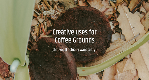 Sustainability Starts with Your Coffee Grounds