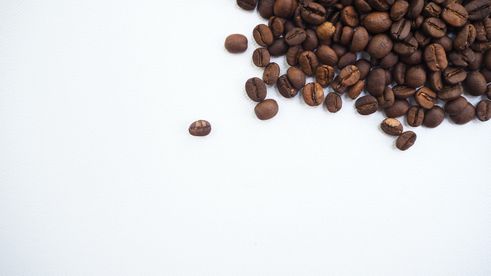 Coffee Beans 101: How to Choose The Best Coffee Beans