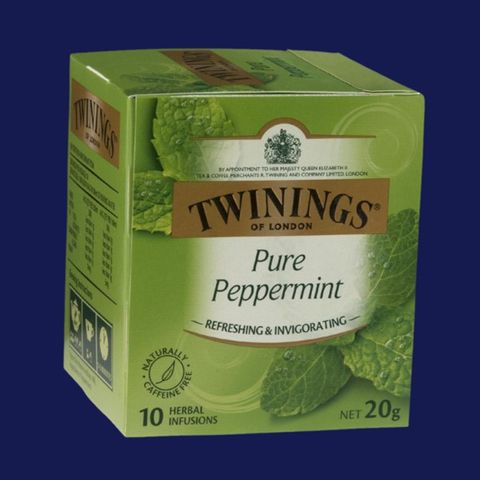 Tea Twngs Peppermint 10s(Env)