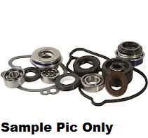 WATER PUMP KIT HOT RODS RM125 01-03