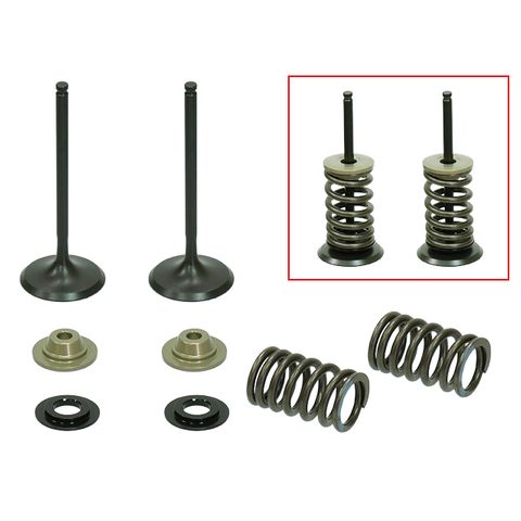 INLET VALVE KIT PSYCHIC MX INCLUDES 2 VALVES, 2 SPRINGS, RETAINERS & SEATS KAWASAKI KX250F 09-10