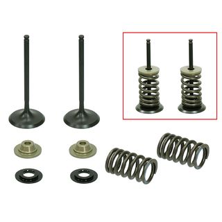 INLET VALVE KIT PSYCHIC MX INCLUDES 2 VALVES, 2 SPRINGS, RETAINERS & SEATS KAWASAKI KX250F 09-10