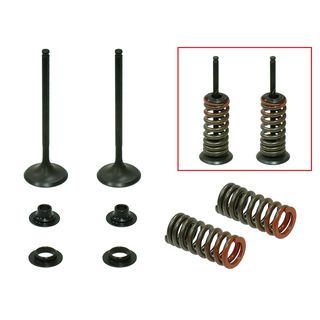 EXHAUST VALVE KIT PSYCHIC MX INCLUDES 2 VALVES, 2 SPRINGS, RETAINERS & SEATS HONDA CRF250R 08-09