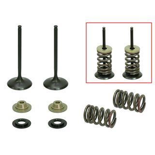 INLET VALVE KIT PSYCHIC MX INCLUDES 2 VALVES, 2 SPRINGS, RETAINERS & SEATS KAWASAKI KX250F 11-16