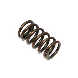 EXHAUST VALVE SPRING PSYCHIC HEAVY DUTY