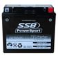 MOTORCYCLE AND POWERSPORTS BATTERY (YTX20L-BS) AGM 12V 18AH 400CCA BY SSB HIGH PERFORMANCE