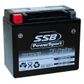 MOTORCYCLE AND POWERSPORTS BATTERY (YTX12-BS) AGM 12V 10AH 265CCA BY SSB HIGH PERFORMANCE