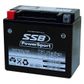 MOTORCYCLE AND POWERSPORTS BATTERY (YTX12-BS) AGM 12V 10AH 265CCA BY SSB HIGH PERFORMANCE