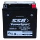 MOTORCYCLE AND POWERSPORTS BATTERY (YB9L-B) AGM 12V 9AH 200CCA BY SSB HIGH PERFORMANCE