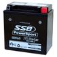 MOTORCYCLE AND POWERSPORTS BATTERY (YB9L-B) AGM 12V 9AH 200CCA BY SSB HIGH PERFORMANCE