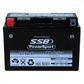 MOTORCYCLE AND POWERSPORTS BATTERY (YT9B-4) AGM 12V 8AH 200CCA BY SSB HIGH PERFORMANCE