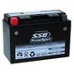 MOTORCYCLE AND POWERSPORTS BATTERY (YT9B-4) AGM 12V 8AH 200CCA BY SSB HIGH PERFORMANCE