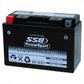 MOTORCYCLE AND POWERSPORTS BATTERY (YT9B-4) AGM 12V 8AH 200CCA BY SSB HIGH PERFORMANCE