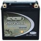 MOTORCYCLE AND POWERSPORTS BATTERY AGM 12V 12AH 300CCA BY SSB ULTRA HIGH PERFORMANCE  DRY CELL